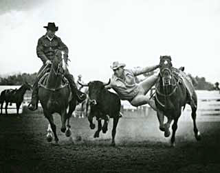 Harry Carters bulldogging